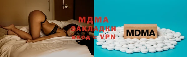 индика Аркадак