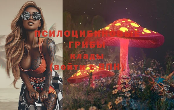 spice Баксан