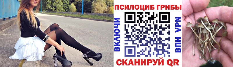Псилоцибиновые грибы Cubensis  Магас 
